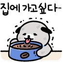 도화정 이미지