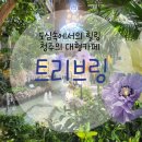 [충북 청주] 대형카페 베이커리카페 &#34;트리브링&#34; 방문후기