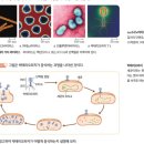 스토리봄알파융합학원
