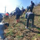 구림면사무소 이미지