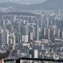 강남-001 이미지