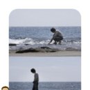 모란마트 네이버블로그