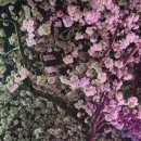 호근서호로 이미지