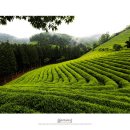 낙안민속자연휴양림 이미지