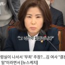 국민의 힘당 김미애 '김건희 주가조작 결혼전의 일이라!!!'그래서??? 이미지