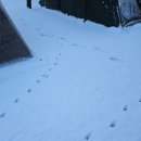 양평숲 비룡캠프장 이미지