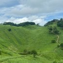 스테이 봉정 이미지