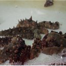 양식단지 앞 이미지