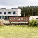 제주도 서귀포 메밀국수맛집 한라산아래첫마을 내돈내산