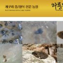 관영농장 이미지