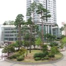 반송동112 이미지