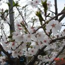 덕산방 이미지