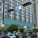 한누리치과병원 | [노견 시츄 진료일기 #2]천안동물병원 추천 CT촬영 치근단농양 발치