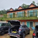 맘앤독스 이미지