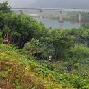 영춘배수펌프장 이미지