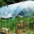 금골농장 이미지