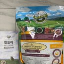 강아지알러지사료 / 벨포아 란트굿 미니 인섹트사료와 인섹트습식캔 후기