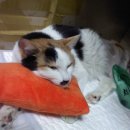 다대2동-2 이미지