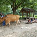 우리소농장 이미지