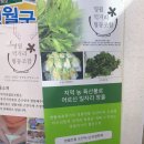 영월맛집 박가네 이미지