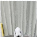 키티앤퍼피 이미지