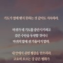 나를 사랑하고 내 뜻을 행하라. 이미지