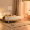 레이디폼 이미지