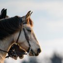 호스텔 아라125 이미지