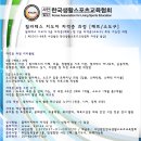 요가소도구필라테스B 이미지