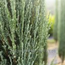 태림농원 이미지