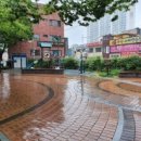 장전동 까치공원 이미지