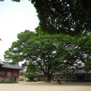 학정세탁소 | 성균관