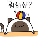 달빛캔들 이미지