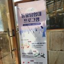 허브파크 | 주말 사람이 너무 많았던 네이처파크 (구,허브힐즈)