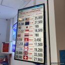 다함 여행사 이미지