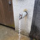서대신동 꽃마을 공동우물 | [서대신동] 시약샘터