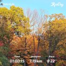 안 입던 옷에 그림 그려 새 옷만들기 | 캐나다 토론토 워홀 +477 : 프랑켄슈타인, Waterfront Marathon, 할로윈 원더랜드, It was just an...