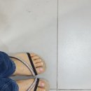 몰리브 네일