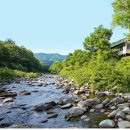 흥정계곡 409 이미지