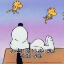 파리바게뜨 울산삼호시영점 | 울산 사주 상담 후기｜엄마가 되어가는 요즘, 고정윤철학관에서 나를 돌아보다