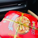 먹고놀개 | 32th 담양 마루한캠핑장 벚꽃캠 명당자리 동물체험 등 놀 거리 많은 키즈캠핑장(26.4.3-5)