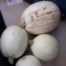 호박공방 이미지