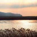 호숫가보금자리 이미지