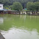 숲속낚시터 이미지