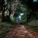 캠퍼스타운한의원 이미지