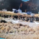 금와공인중개사사무소 이미지