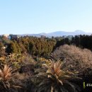 해성민박 이미지