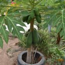 삼일사우나 이미지