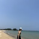 7-2월: 생일기념 운동하고, 해수욕하고, 야구보고, 술마시고