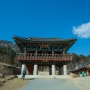 흥령선원지 이미지